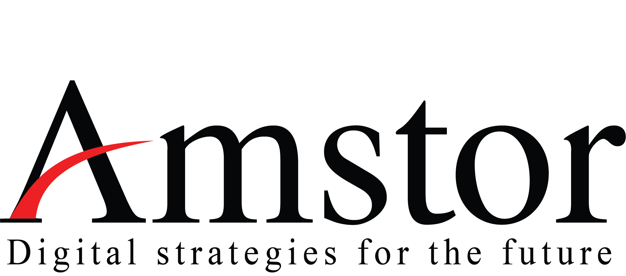 Amstor Information Technology India (P) Ltd